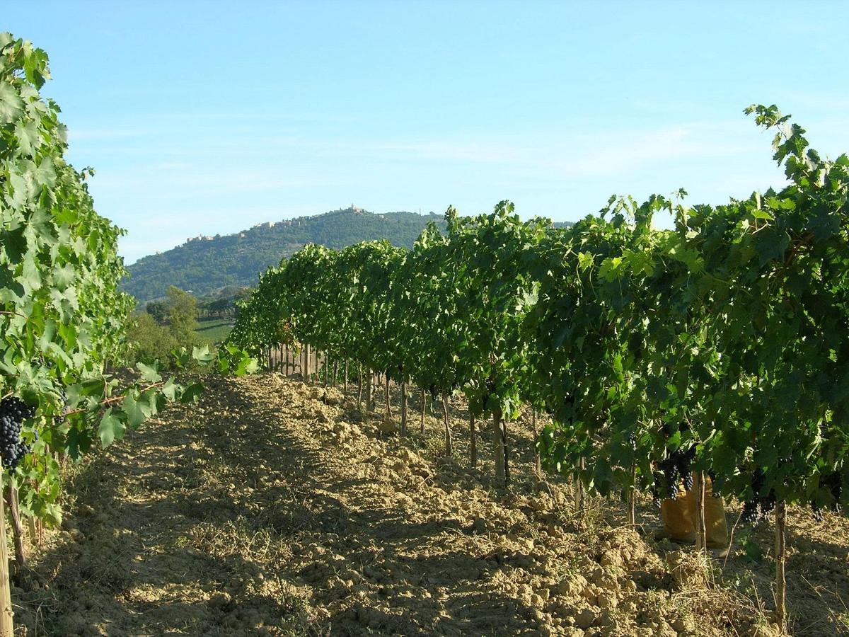 Agriturismo Poggiarellino - מונטלצ'ינו מראה חיצוני תמונה