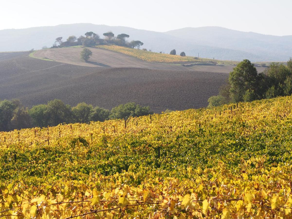 Agriturismo Poggiarellino - מונטלצ'ינו מראה חיצוני תמונה